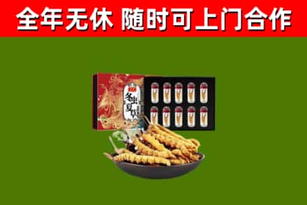 增城回收冬虫夏草价格